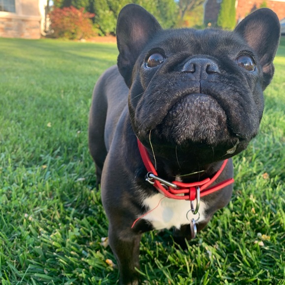 ❤️Welcome! I’m Matilda!!❤️ - Picture 7 of 12